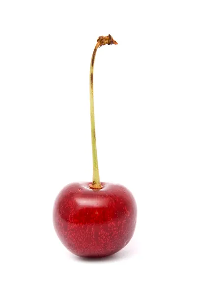 Red cherry on a white background — Stock Photo, Image