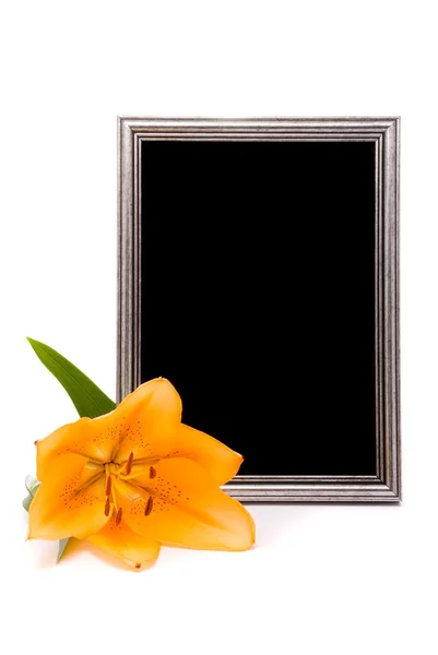 Gelbe Lilie und silberner Rahmen auf weißem Hintergrund — Stockfoto