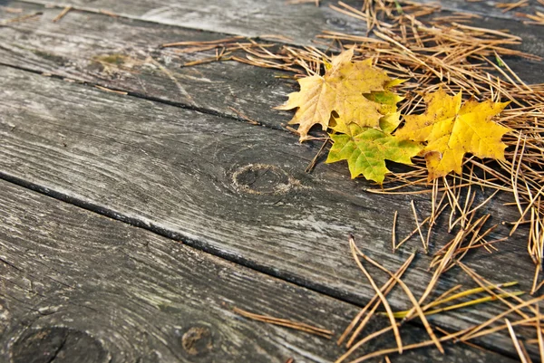 Fondo autunnale in legno con aghi di abete e foglie gialle — Foto Stock