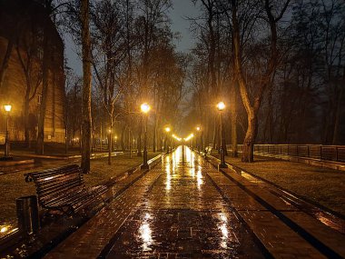 Yağmurlu bir akşamda sonbahar kış parkı