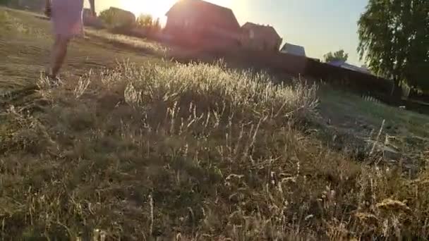 Young Blonde Girl Pink Dress Stands Haystack Field — Stock Video