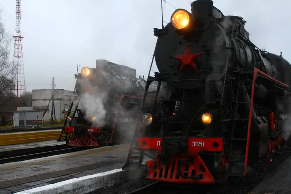 Ruskeala Park Karelia Russia November 2021 Retro Steam Train Karelia — ストック写真