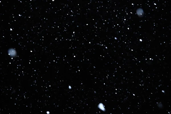 Real Falling Snow Black Background Use Texture Layer Your Project — Stock Photo, Image