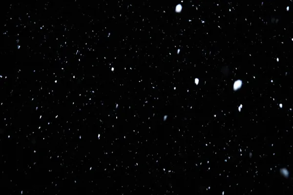 Real Falling Snow Black Background Use Texture Layer Your Project — Stock Photo, Image