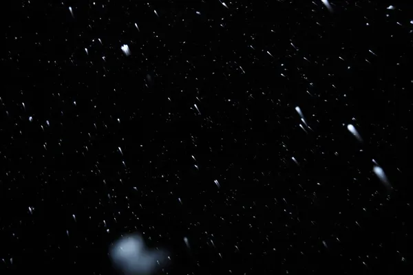 Nieve Real Cayendo Sobre Fondo Negro Para Uso Como Capa — Foto de Stock