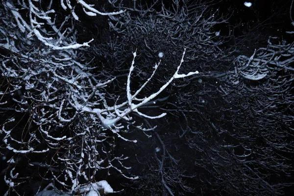 Абстрактна Зима Спині Вночі — стокове фото