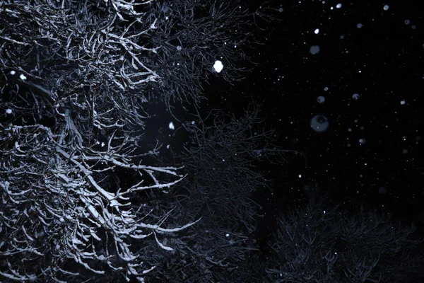 Abstraktní Zimní Backgrond Noci — Stock fotografie