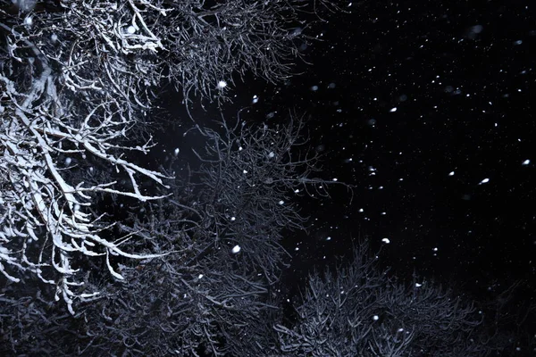 Αφηρημένη Χειμώνα Backgrond Νύχτα — Φωτογραφία Αρχείου