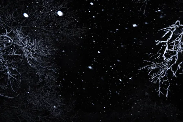 Geceleyin Soyut Kış Fırtınası — Stok fotoğraf