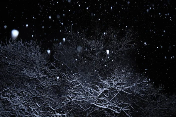 Abstract Winter Backgrond Night — Stock Photo, Image
