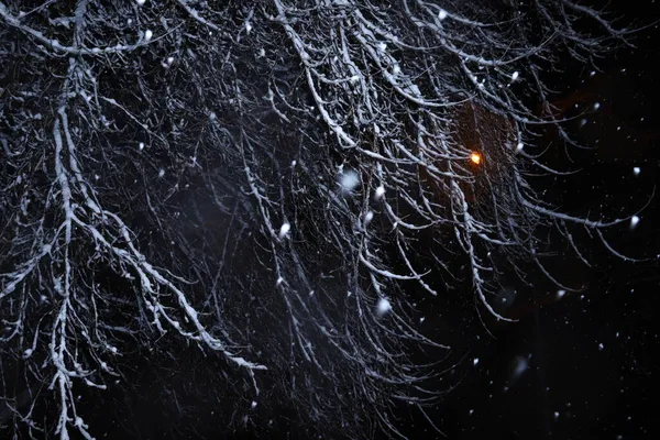 Absztrakt Téli Háttér Éjjel — Stock Fotó
