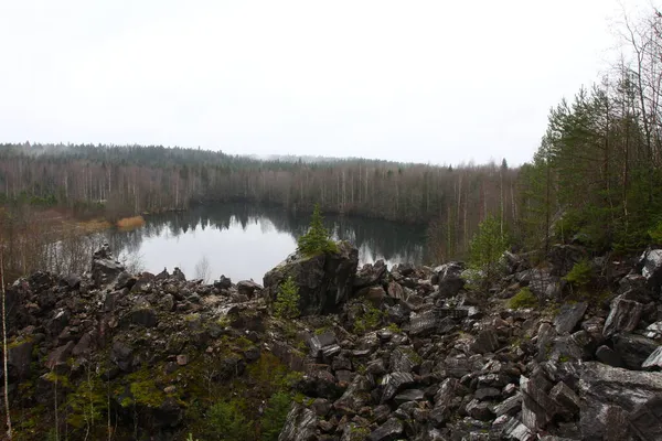 Karelens Natur Vid Finlands Gräns Detaljer Och Landskap Höstskogen — Stockfoto