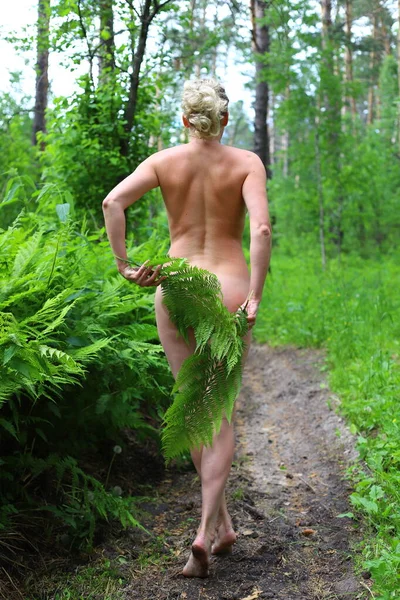 Çıplak genç kadınlar yeşil eğrelti otlarının arasında bir yaz ormanında yürürler..