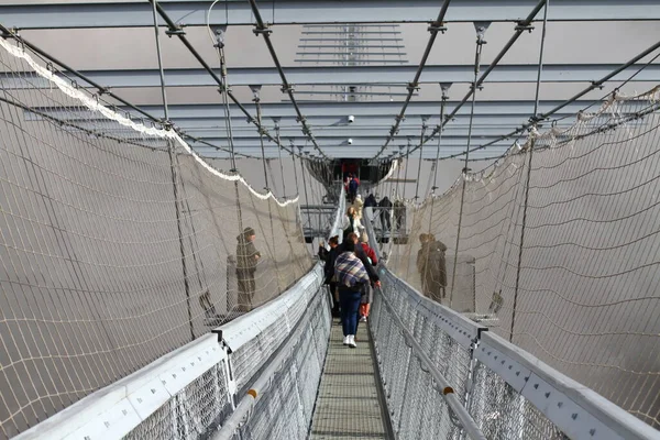 Skypark Sochi Russia Januari 2022 Hackett Sky Park Bergachtige Bosachtergrond — Stockfoto