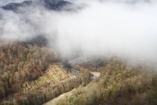 Mountain Landscape Cloud Autumn Forest — Stock Photo, Image