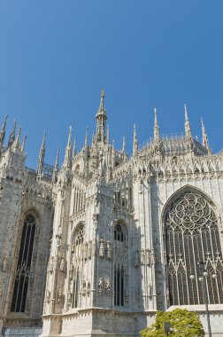 Il duomo di Milano, İtalya