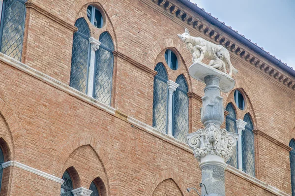 Romulo och remo statyer på en piedestal i siena, Toscana, Italien — Stockfoto