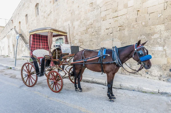 Buggy (karrozin) in valletta, malta — Stockfoto