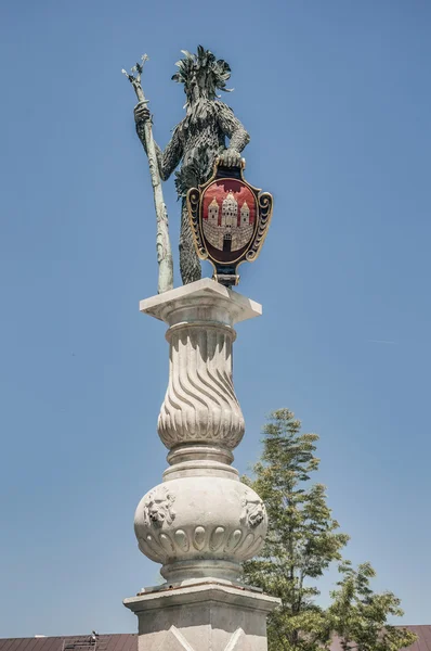 Estatua de Wildman en Salzburgo, Austria — Foto de Stock