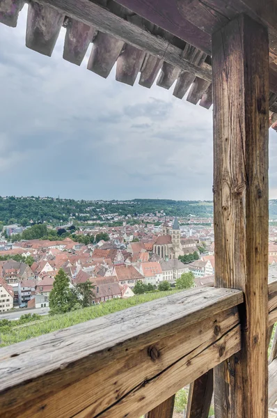 Esslingen am Neckar vista dalle scale del Castello, Germania — Foto Stock