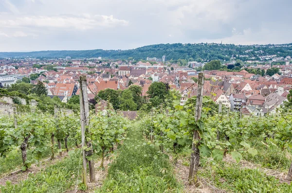 Esslingen am neckar ansichten vom schloss, deutschland — Stockfoto