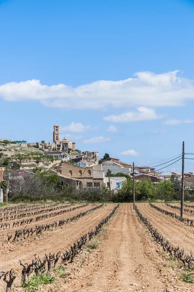 Corbera de ebro Köyü, tarragona, İspanya — Stok fotoğraf