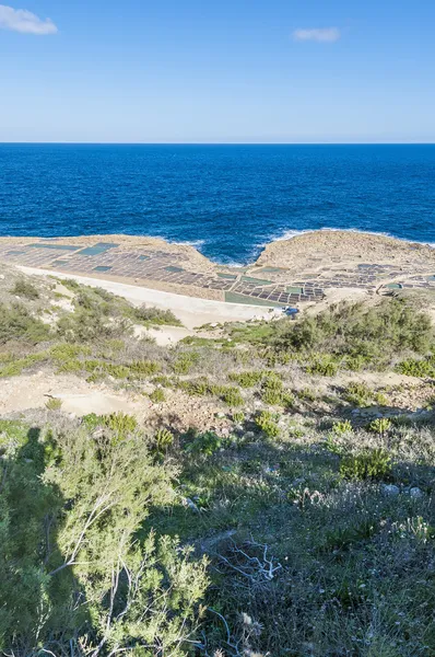 Ollas de sal cerca de Qbajjar en Gozo, Malta . — Foto de Stock