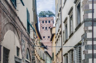 Torre guinigi içinde surların Lucca, İtalya.