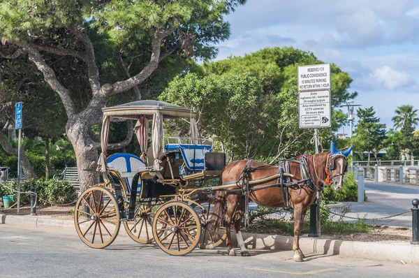 Hästdragna buggy i mdina, malta — Stockfoto