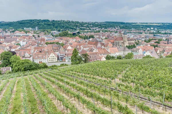 Esslingen am neckar widok z zamku, Niemcy — Zdjęcie stockowe