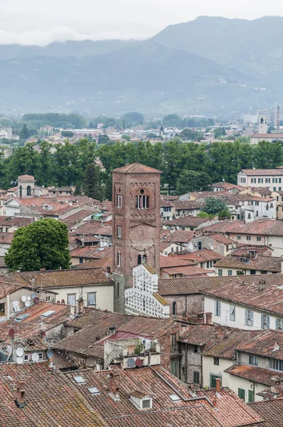 San pietro somaldi in lucca, Toscane, Italië — Stockfoto