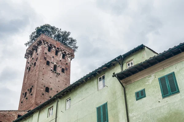 Torre Guinigi dentro das muralhas da cidade de Lucca, Itália . — Fotografia de Stock