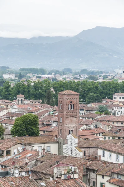 San Pietro Somaldi in Lucca, Tuscany, Italy — Stock Photo, Image