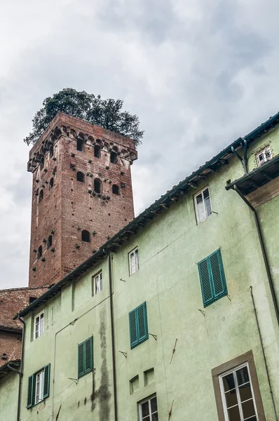 Torre Guinigi dentro das muralhas da cidade de Lucca, Itália . — Fotografia de Stock