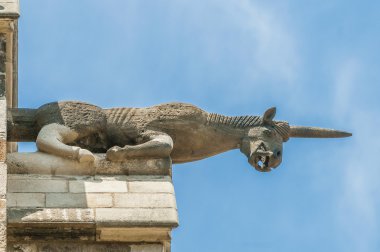 Katalonya, İspanya Barselona Katedrali