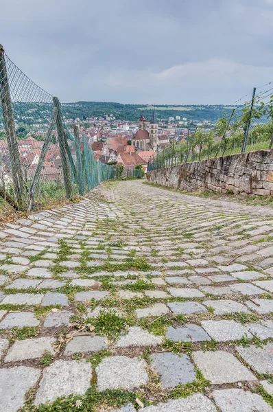 Esslingen am Neckar visualizzazioni da Burgsteige vicino Stoccarda, tedesco — Foto Stock