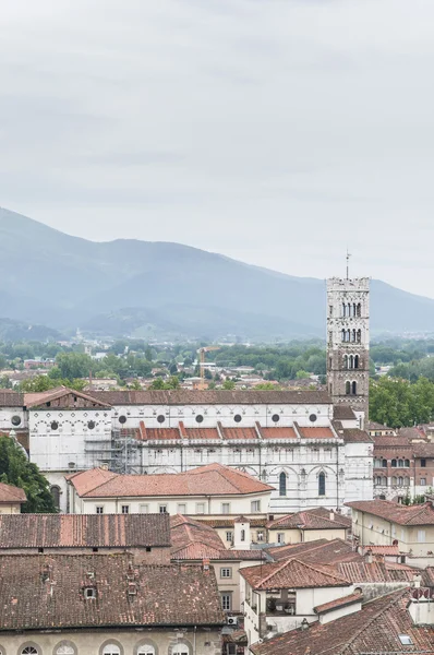 Celkový pohled na lucca v Toskánsku, Itálie — Stock fotografie