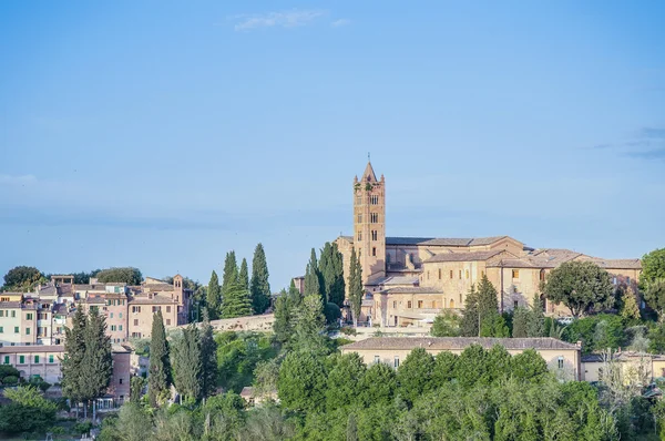 San Francesco, a church in Siena, Tuscany, Italy. — Stock Photo, Image