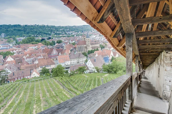 Esslingen είμαι neckar θέα από το κάστρο σκάλες, Γερμανία — Φωτογραφία Αρχείου