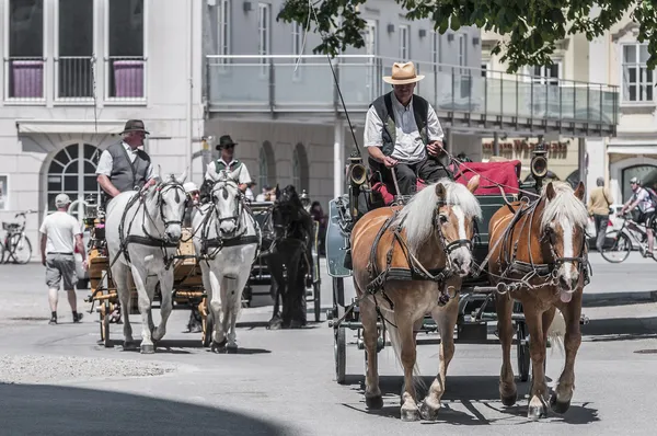 奥地利萨尔茨堡街道上的马车 — 图库照片