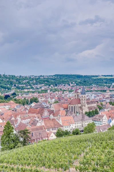 埃斯林根是从城堡，德国 neckar 意见 — 图库照片