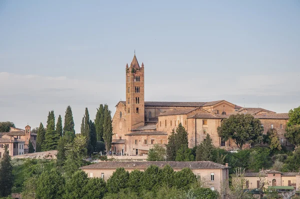 San francesco, eine kirche in siena, toskana, italien. — Stockfoto