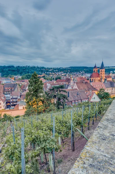 Vue sur Esslingen am Neckar depuis le château, Allemagne — Photo