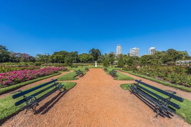 palermo woods buenos Aires gül park.