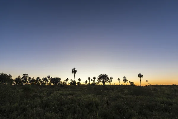 Sonnenaufgang im Nationalpark El Palmar, Argentinien — Stockfoto