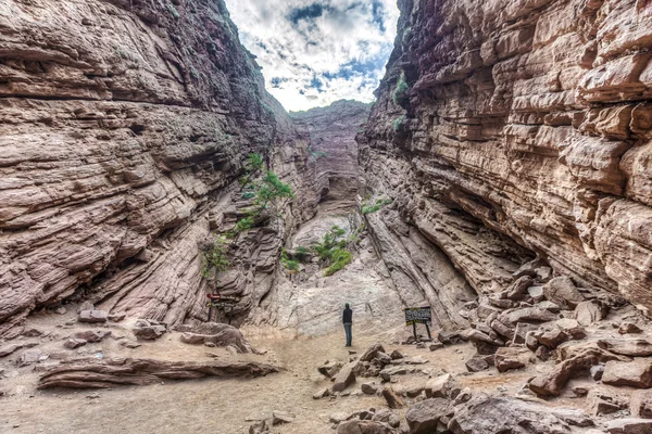 Quebrada de las Conchas, Salta, northern Argentina — Stock Photo, Image