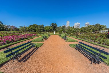 palermo woods buenos Aires gül park.