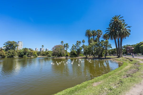 Palermo bossen in buenos aires, Argentinië. — Stockfoto