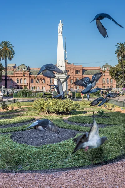 Plaza de mayo buenos aires, Arjantin. — Stok fotoğraf