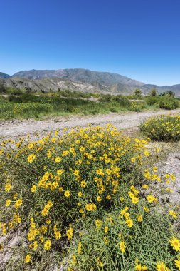Quebrada de humahuaca içinde jujuy, Arjantin.